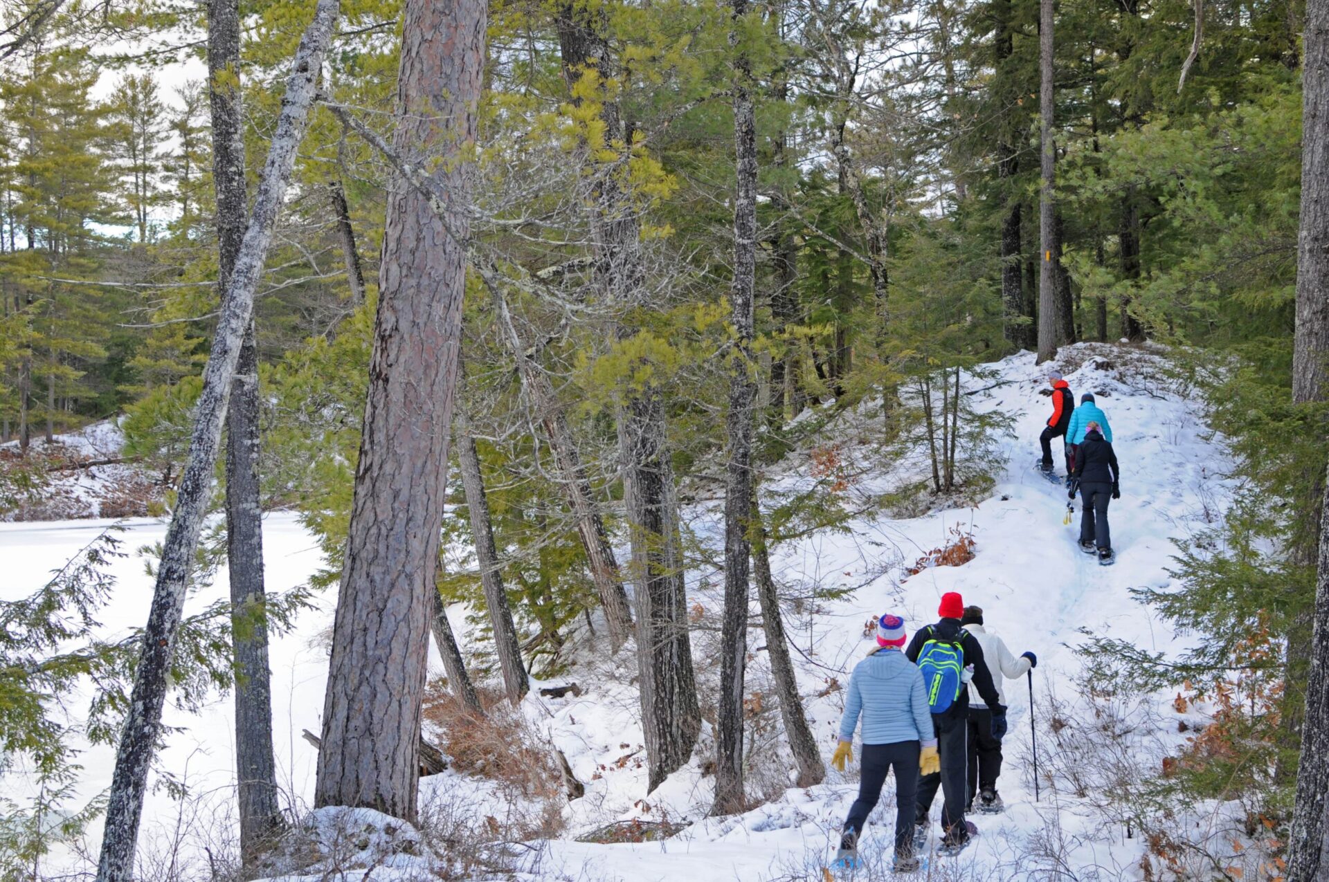 PSR_SnowshoeTour2_122918-min