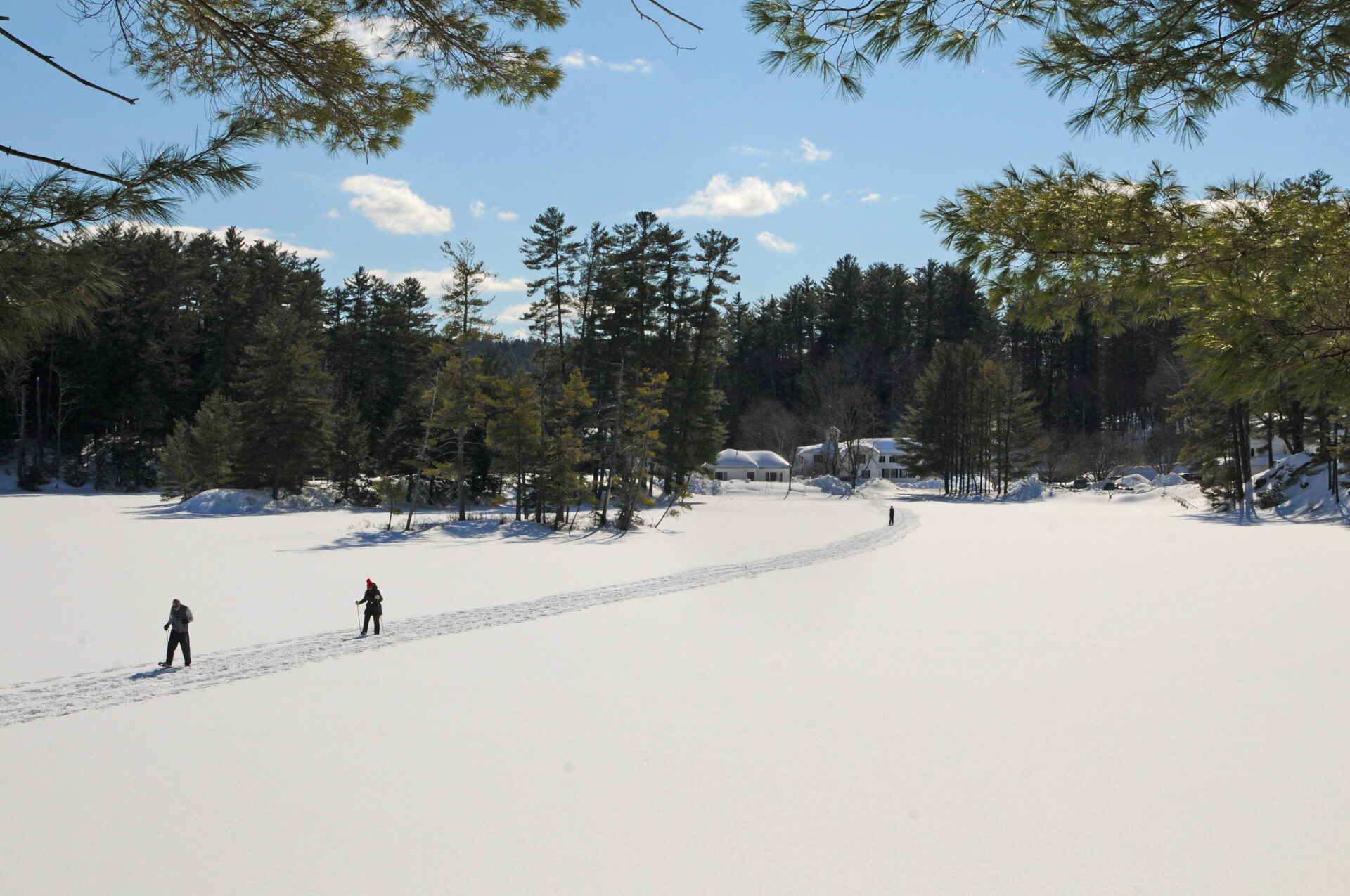 Snowshoers
