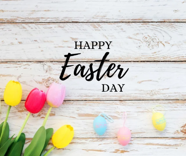 From all of us at King Pine, Happy Easter to you and yours. 🐇🌷🥚